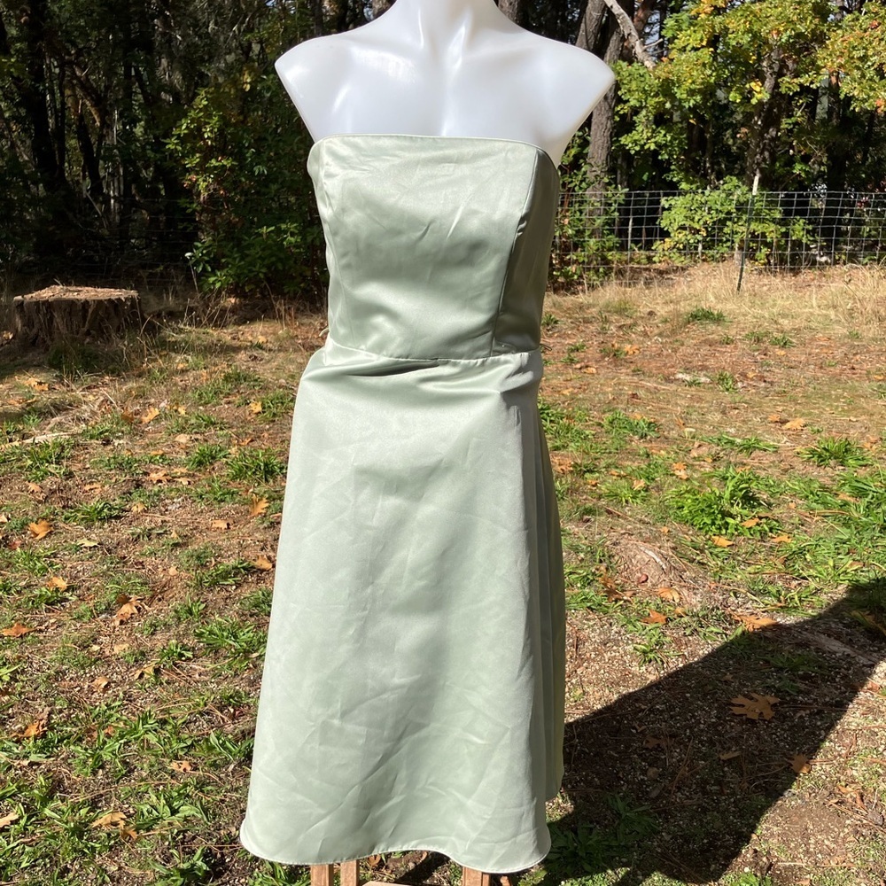 French country pale green sleeveless simple formal sateen dress Alfred Angelo M